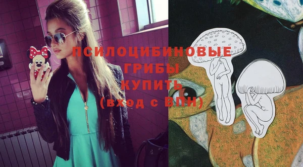 стафф Абинск