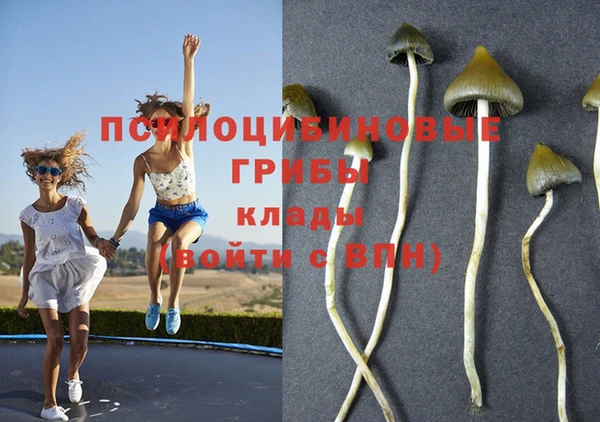 стафф Абинск