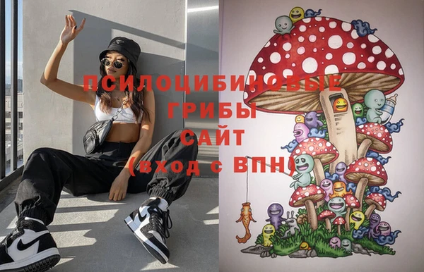 стафф Абинск