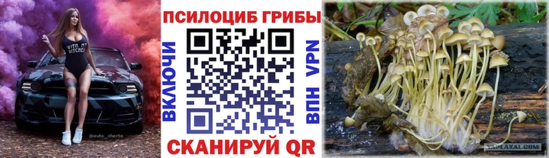 Псилоцибиновые грибы прущие грибы  что такое наркотик  Ростов-на-Дону 