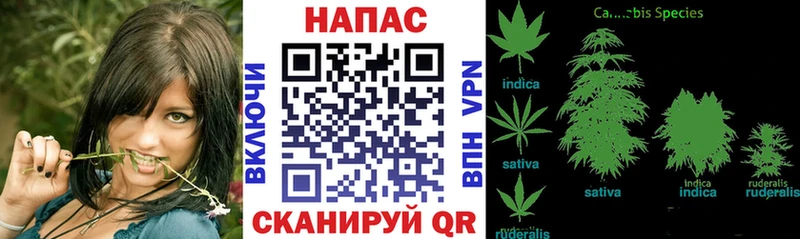 блэк спрут ссылка  darknet какой сайт  Бошки марихуана OG Kush  Ростов-на-Дону 